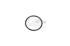Original Ringdichtung
